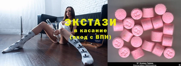 индика Вязьма