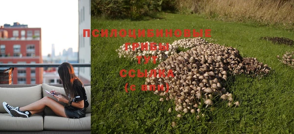 индика Вязьма