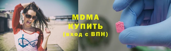 индика Вязьма