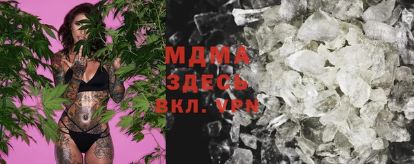 индика Вязьма