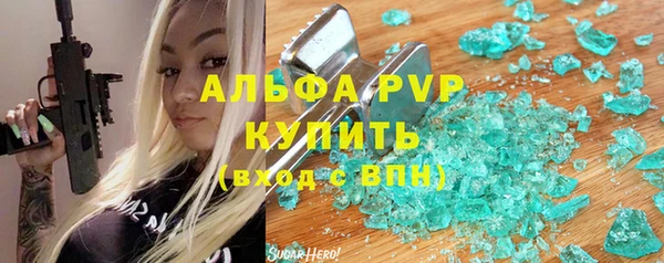 индика Вязьма