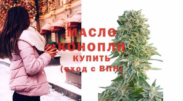 индика Вязьма