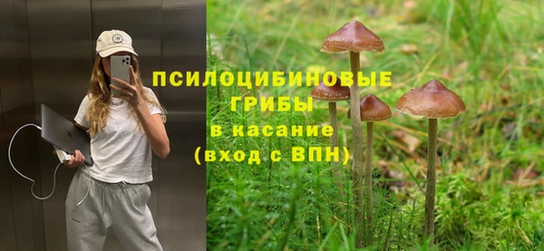 не бодяженный Вяземский