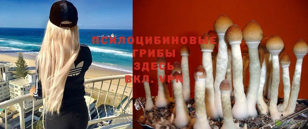 индика Вязьма