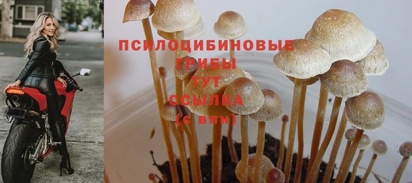 не бодяженный Вяземский