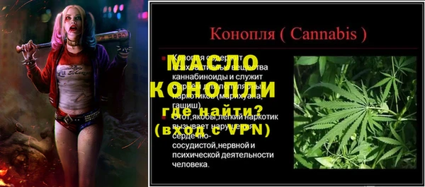 индика Вязьма