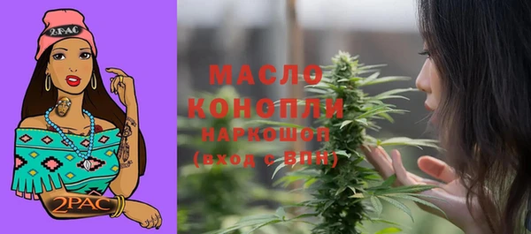 индика Вязьма