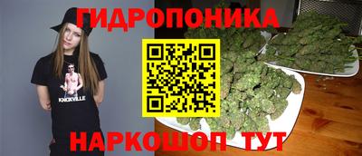 сатива Балахна