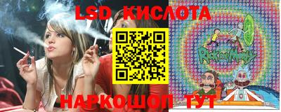 Альфа ПВП Моздок
