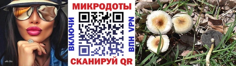 Галлюциногенные грибы мухоморы что такое наркотик Наро-Фоминск