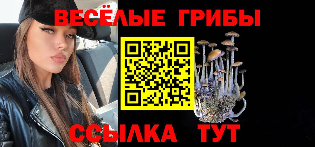 Псилоцибиновые грибы Cubensis  Вход с VPN  Наро-Фоминск  купить наркоту  Псилоцибиновые грибы GOLDEN TEACHER 